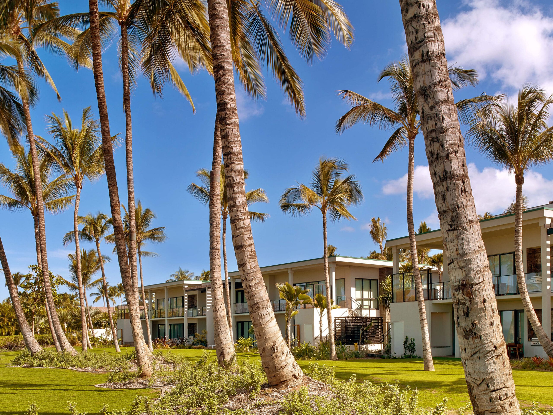 Low-rise villa buildings among palms at Andaz Maui