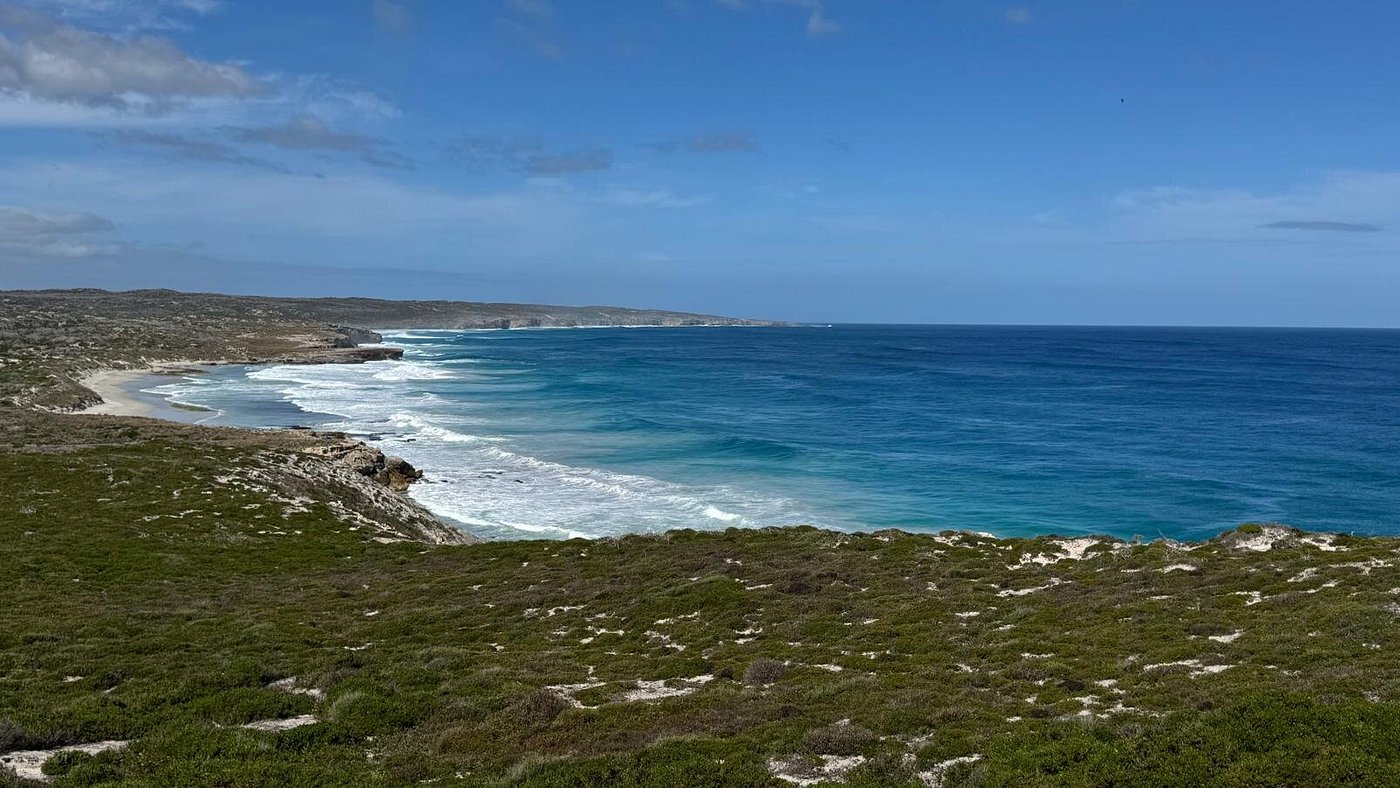 Coastline at Southern Ocean Lodge